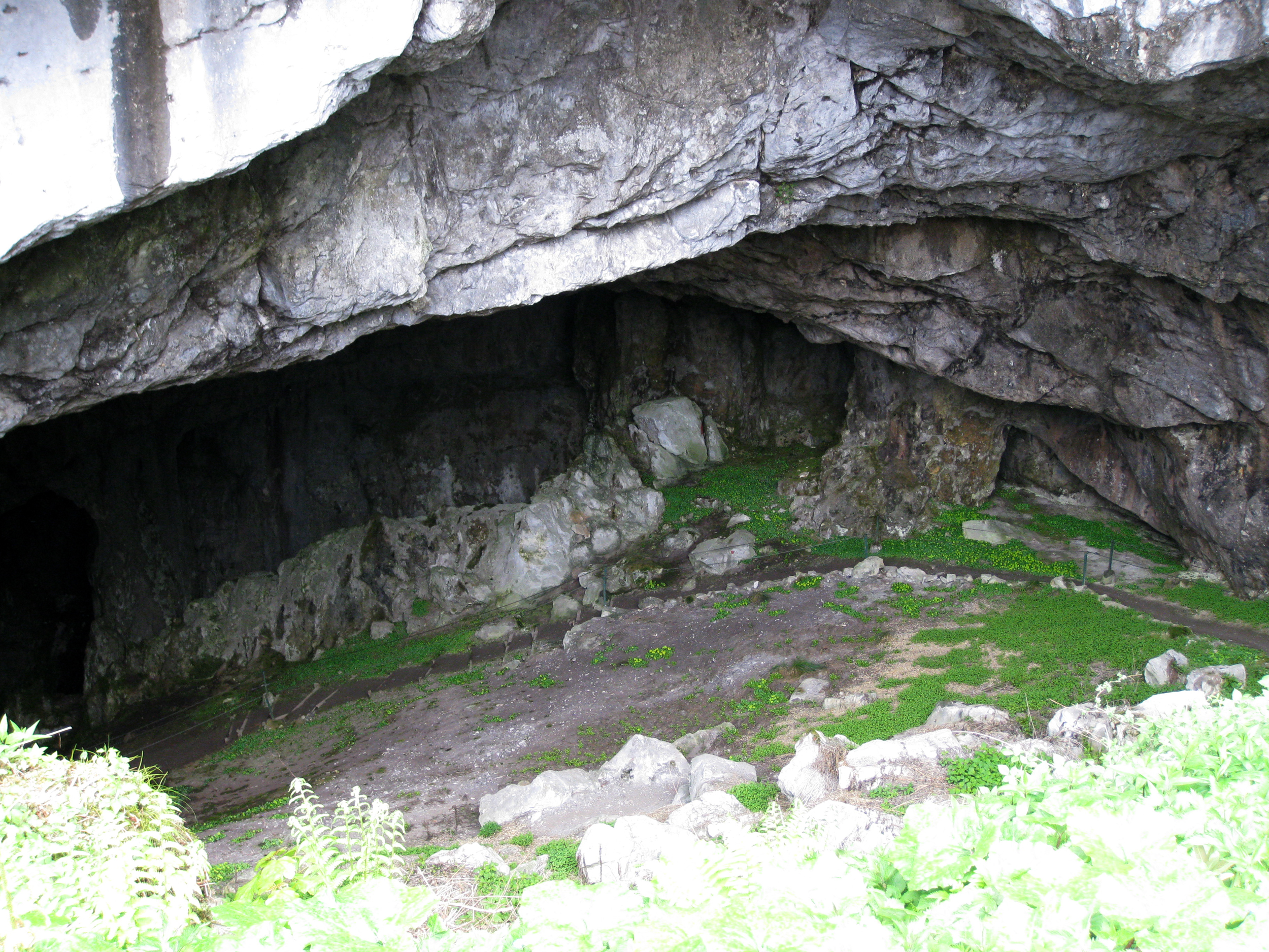 cave3.jpg